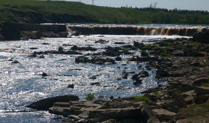 Саблинские пещеры (для школьных групп) — экскурсии и программы для детей от 1850 рублей