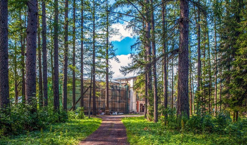 Зачарованные берега реки Оредеж — фото № 3 — Фотобанк Лори / Сергей Афанасьев Зачарованные берега реки Оредеж — Автобусные загородные