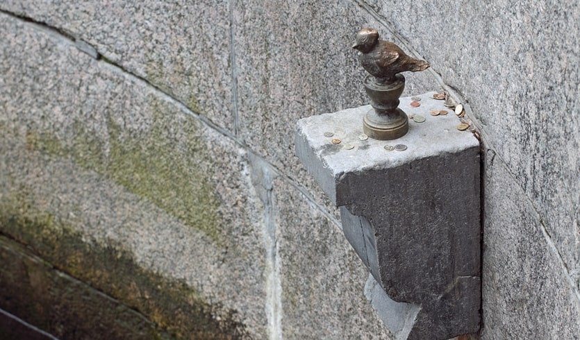 Чижик-Пыжик – водные обзорные от 950 рублей