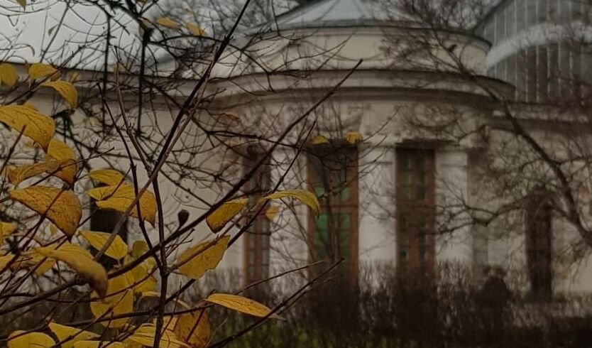 Ботанический сад Петра Великого — Музеи