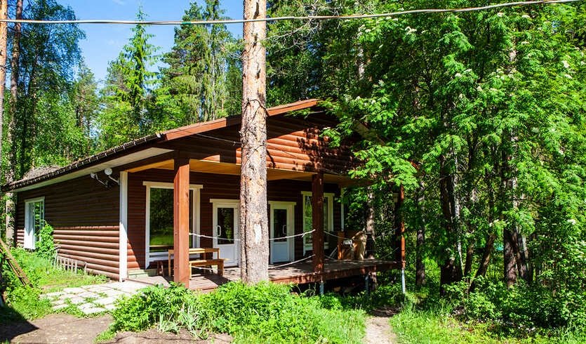 Русская Финляндия: под властью орла и льва — Автобусные загородные