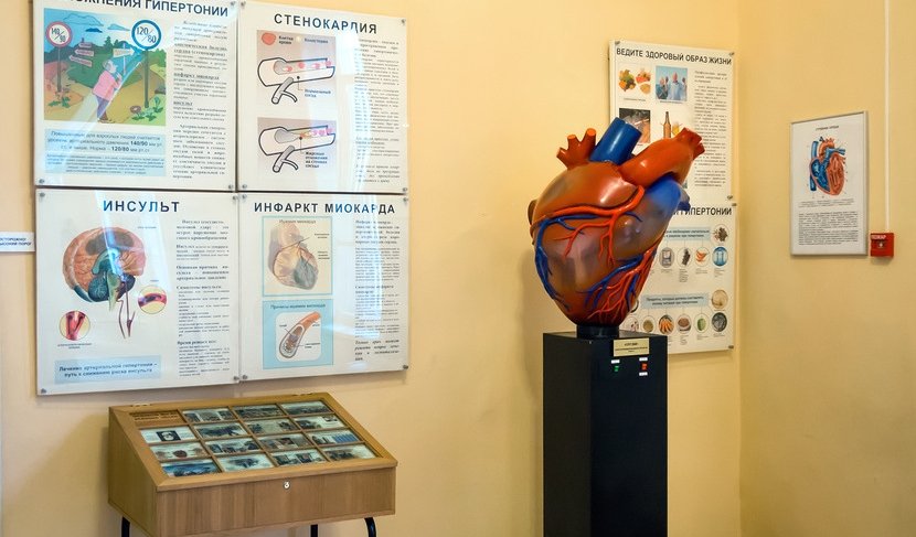 Экспозиция музея гигиены – экскурсии и программы для детей от 2000 рублей