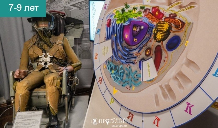 Интерактивное занятие «Вокруг человека за 80 минут» (Военно-медицинский музей)  – Сборные экскурсии, мастер-классы, квесты для школьников в Санкт-Петербурге от 900 рублей