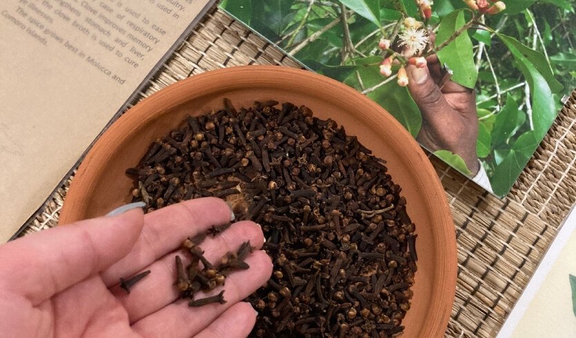 Игра-квест «Тайны пряных островов» (Музей специй) – сборные экскурсии для школьников в Санкт-Петербурге Игра-квест «Тайны пряных островов» (Музей специй) – сборные экскурсии для школьников в Санкт-Петербурге