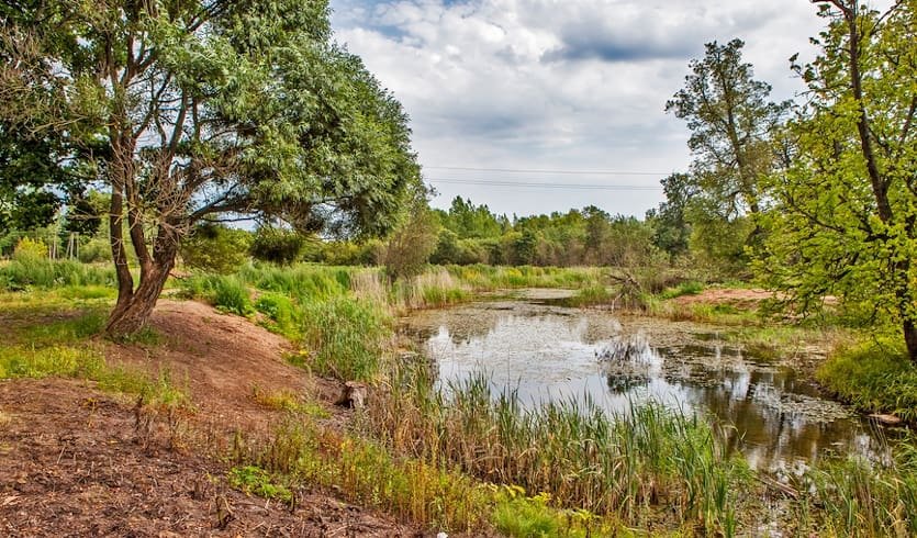 Усадьбы Гатчинского района — автобусные экскурсии от 1150 руб.