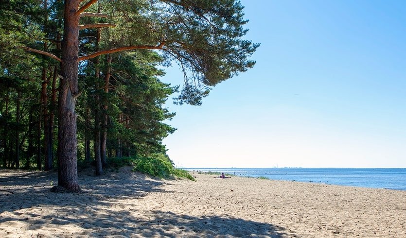 Прогулка по Комарово – Пешеходные экскурсии от 600 рублей