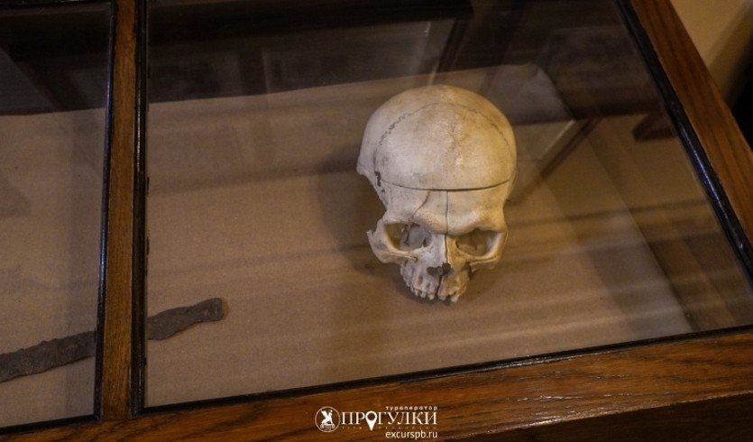 Интерактивное занятие «Вокруг человека за 80 минут» (Военно-медицинский музей)  – Сборные экскурсии, мастер-классы, квесты для школьников в Санкт-Петербурге от 900 рублей