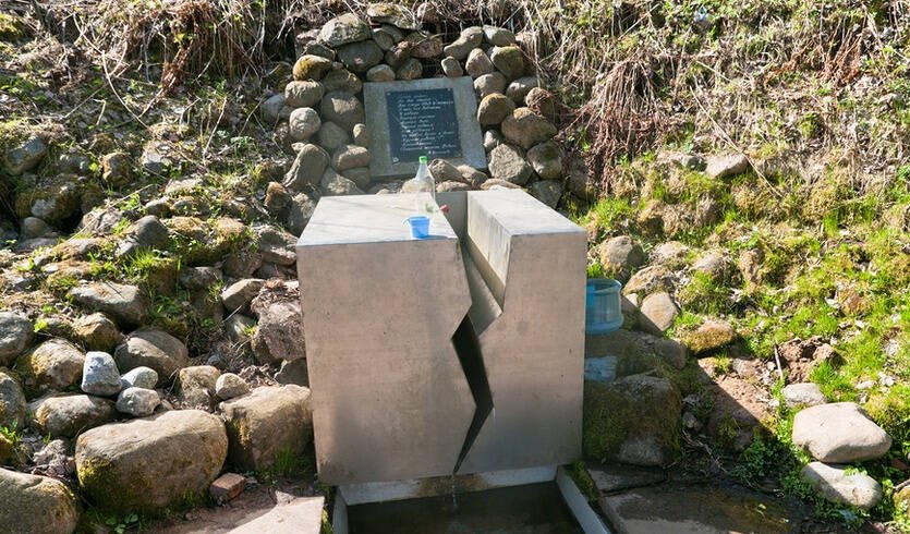 Битва за Ленинград – Проклятые Синявинские высоты — Автобусные загородные