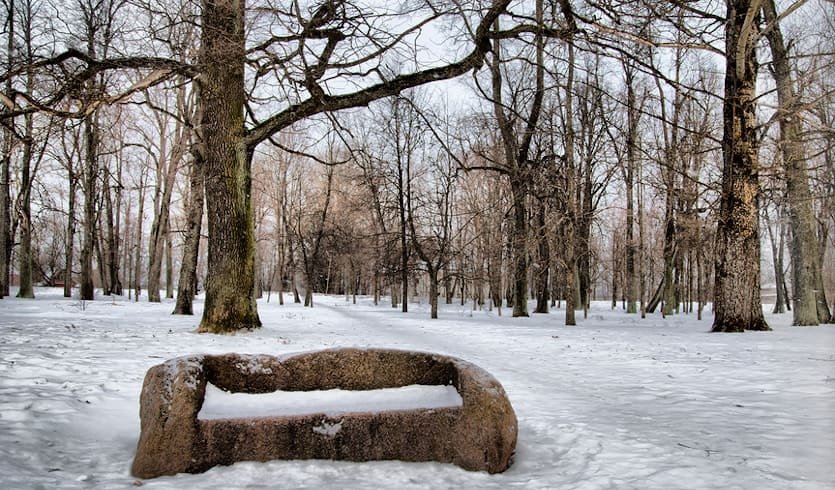 По Пушкинским местам Ленинградской области: Суйда, Выра, Кобрино (для школьных групп) – экскурсии и программы для детей от 1660 руб.