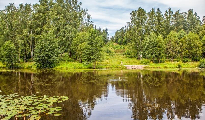 Шуваловский парк – автобусные экскурсии
