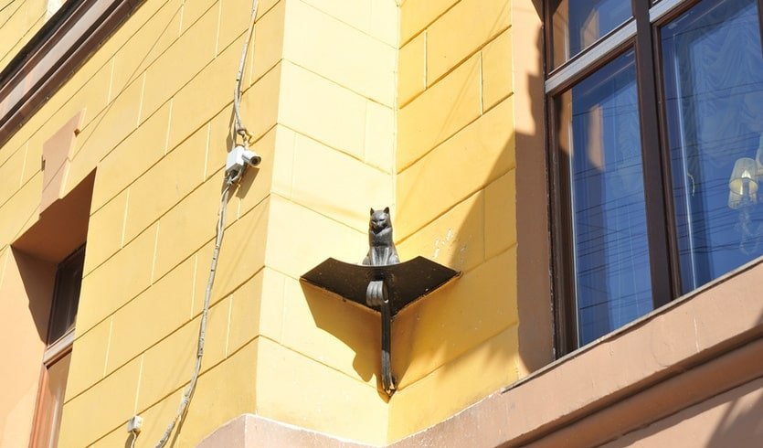 Памятник коту Елисею – сборные экскурсии для школьников в Санкт-Петербурге Памятник коту Елисею – сборные экскурсии для школьников в Санкт-Петербурге