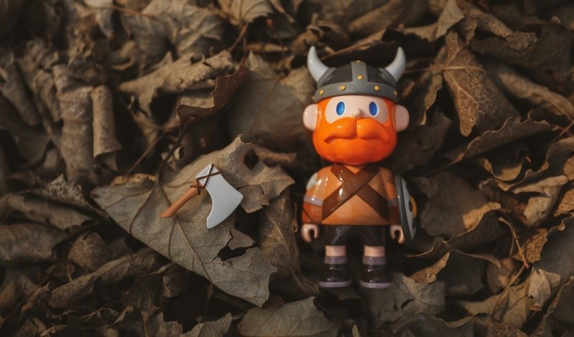 Поездка в Деревню викингов — Автобусные загородные