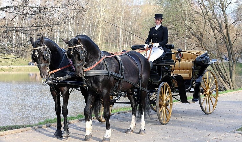 Аренда кареты в Петербурге