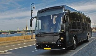 Обзор автобусных экскурсий в Санкт-Петербурге