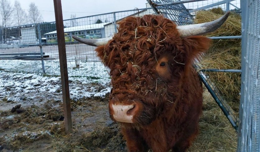 Рускеальская сказка – туры в Карелию от 15350 рублей