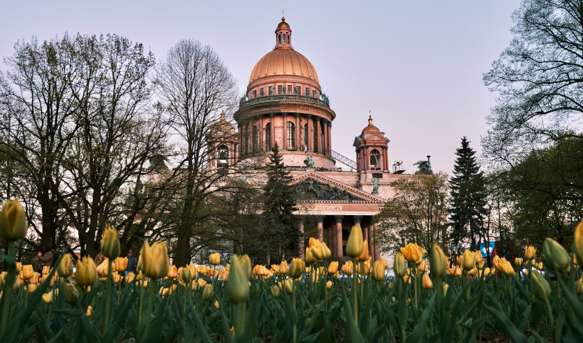 VIP программы в Санкт-Петербурге (СПб) в 2025 году